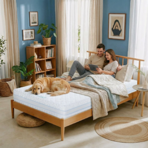                  Matelas Inayya Éco - Inayya Matelas ( 90x190 / 140x190 / 160x200 ) 