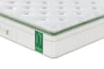 Pack Dream Lit Bamboo – Image 7