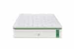 Pack Dream Lit Bamboo – Image 3