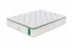 Pack Dream Lit Bamboo – Image 2