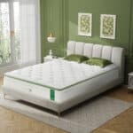 Pack Dream Lit Bamboo